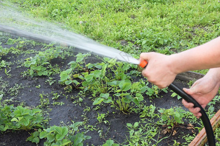 irrigation flex pipe